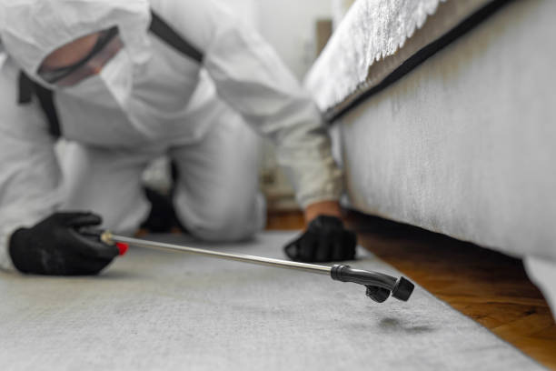 Professional Bed Bug Control technician working in Fountain Green, UT